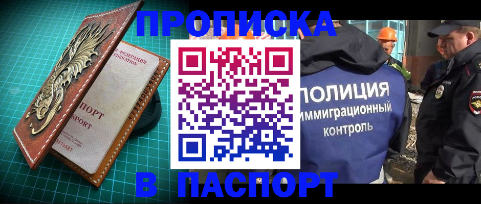 прописка в Щиграх